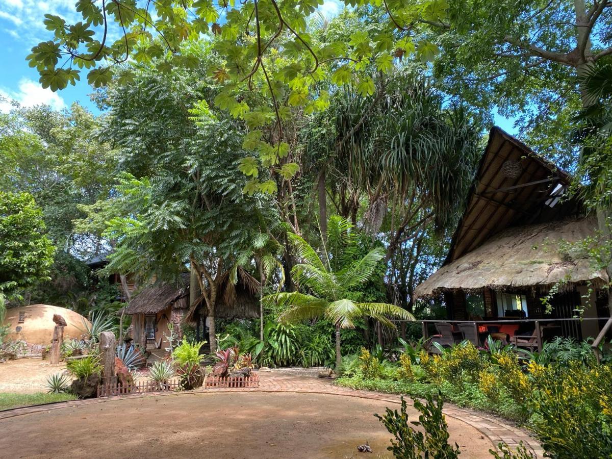 Jardin Secreto Centro Holistico Villa Acapulco Eksteriør billede