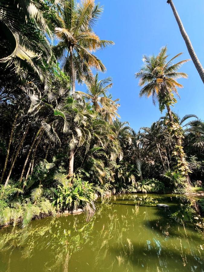 Jardin Secreto Centro Holistico Villa Acapulco Eksteriør billede