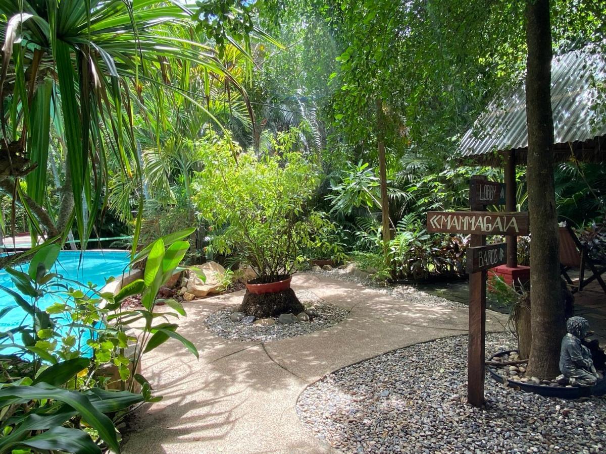 Jardin Secreto Centro Holistico Villa Acapulco Eksteriør billede