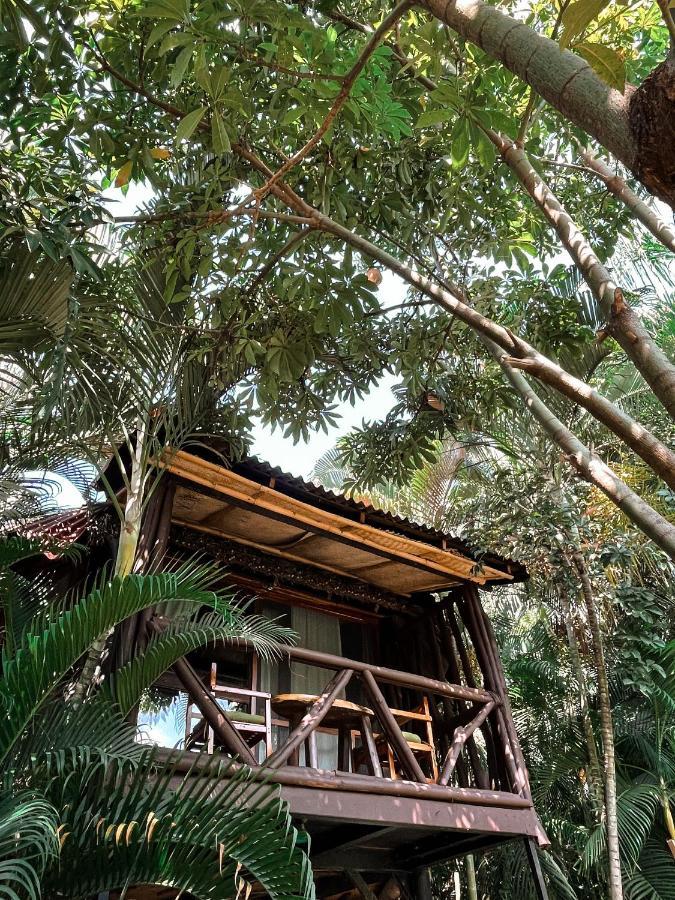 Jardin Secreto Centro Holistico Villa Acapulco Eksteriør billede